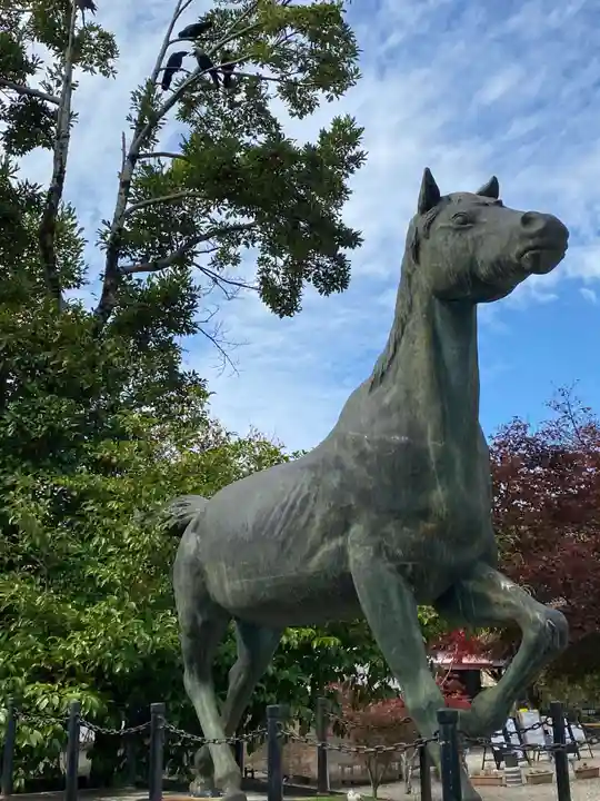 京都乃木神社の狛犬