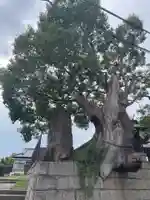 五宮神社(兵庫県)