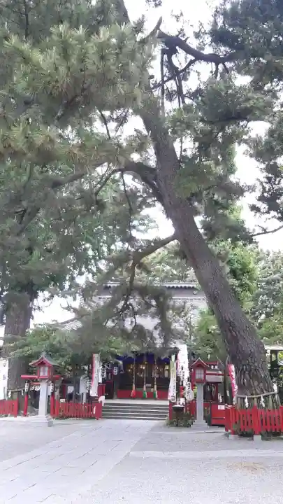 鴻神社(埼玉県)