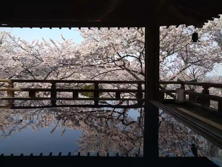 園城寺(三井寺)のその他建物
