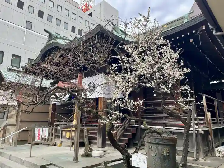 千束稲荷神社の{uncategorized: "未分類", other: "その他", undefined: "問題あり", building: "その他建物", grave: "お墓", sacred_gate: "鳥居", guardian: "狛犬", statue: "像", buddha: "仏像", history: "歴史", nature: "自然", garden: "庭園", animal: "動物", pagoda: "塔", temizu: "手水舎", mountain_gate: "山門・神門", sanctuary: "本殿・本堂", subordinate: "末社・摂社", art: "芸術", scenery: "景色", jizo: "地蔵", ema: "絵馬", goshuin: "御朱印", omikuji: "おみくじ", items: "授与品その他", amulet: "お守り", goshuincho: "御朱印帳", eats: "食事", festival: "お祭り", votive_dance: "神楽", shichigosan: "七五三参", wedding: "結婚式", experience: "体験その他", initially: "初詣", around: "周辺", anti_infection: "感染症対策"}