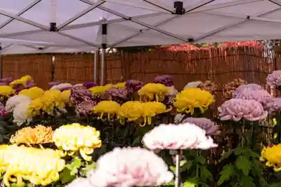 武水別神社(長野県)