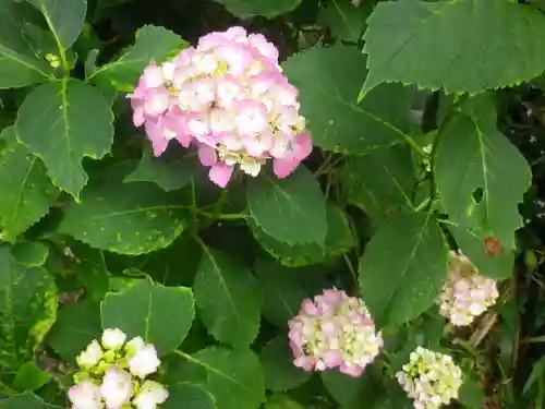 蛇苦止明神（蛇苦止堂）の自然