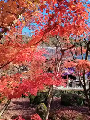 禅林寺(永観堂)(京都府)