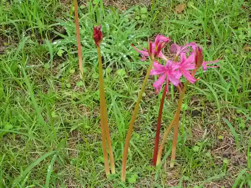 横浜　西方寺の自然