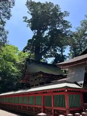 鹿島神宮(茨城県)