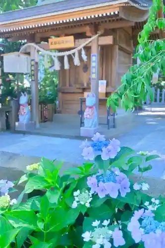 川越八幡宮(埼玉県)