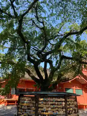 富士山本宮浅間大社(静岡県)