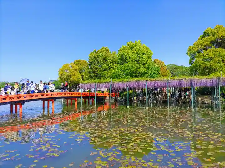 津島神社の周辺