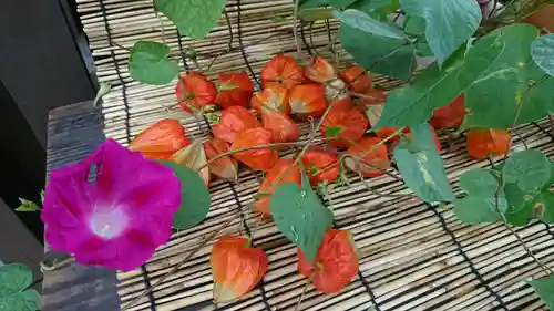 阿邪訶根神社のその他建物