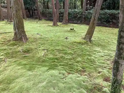 唐招提寺(奈良県)