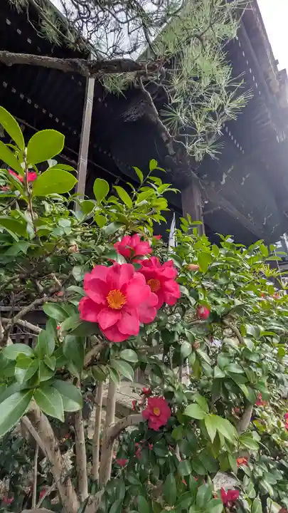 行願寺(革堂)(京都府)