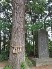 鹿嶋神社の自然