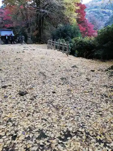 鰐淵寺の庭園