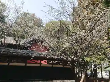 天満社(愛知県)