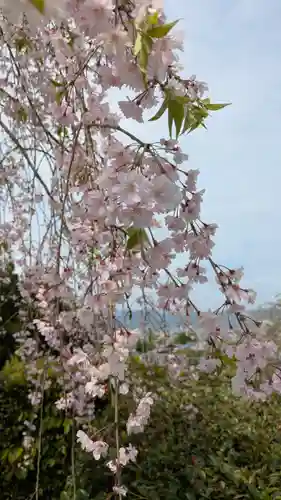 圓光寺(京都府)
