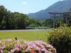 屋久島大社(鹿児島県)