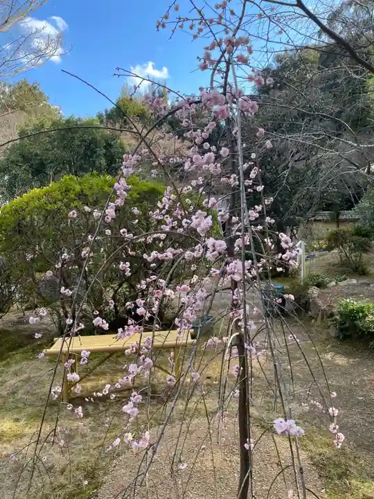 法寳閣檀林寺(京都府)