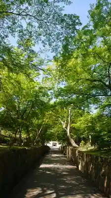 興聖寺(興聖寶林禅寺)のその他建物