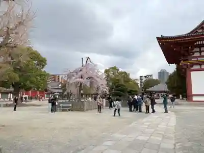 四天王寺(大阪府)