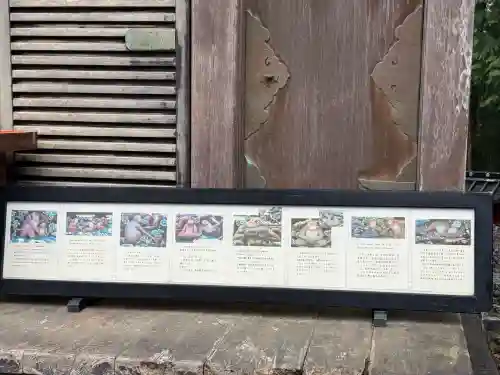 日光東照宮(栃木県)