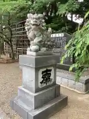 富部神社の狛犬