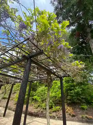 大成龍神社の自然
