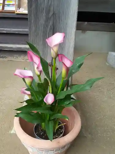 伏木香取神社(茨城県)