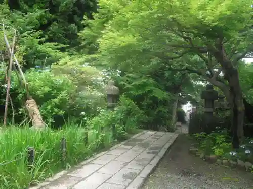 安國論寺（安国論寺）の自然