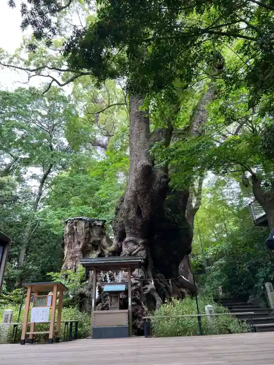 來宮神社の{uncategorized: "未分類", other: "その他", undefined: "問題あり", building: "その他建物", grave: "お墓", sacred_gate: "鳥居", guardian: "狛犬", statue: "像", buddha: "仏像", history: "歴史", nature: "自然", garden: "庭園", animal: "動物", pagoda: "塔", temizu: "手水舎", mountain_gate: "山門・神門", sanctuary: "本殿・本堂", subordinate: "末社・摂社", art: "芸術", scenery: "景色", jizo: "地蔵", ema: "絵馬", goshuin: "御朱印", omikuji: "おみくじ", items: "授与品その他", amulet: "お守り", goshuincho: "御朱印帳", eats: "食事", festival: "お祭り", votive_dance: "神楽", shichigosan: "七五三参", wedding: "結婚式", experience: "体験その他", initially: "初詣", around: "周辺", anti_infection: "感染症対策"}