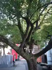 開口神社(大阪府)