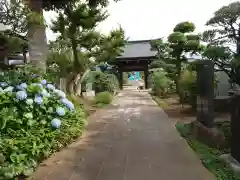 全徳寺の山門