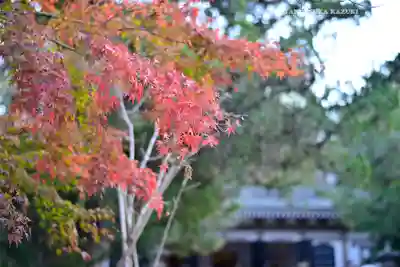 円覚寺(神奈川県)