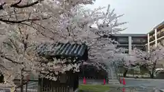 立本寺の自然