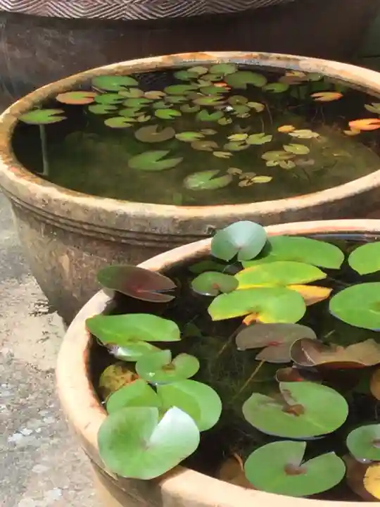 海蔵寺(神奈川県)