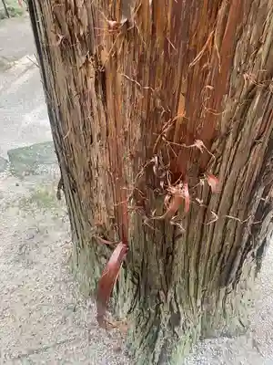 石見国一宮　物部神社(島根県)