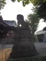 滝野川八幡神社の狛犬