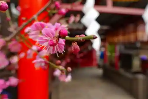 綱敷天神社の自然