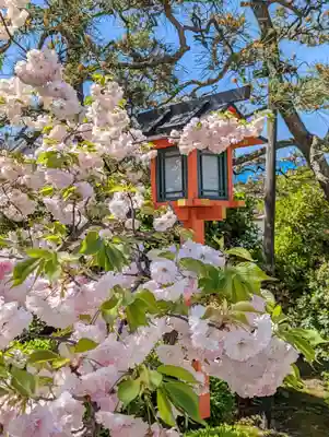 西院春日神社(京都府)