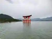 厳島神社(広島県)