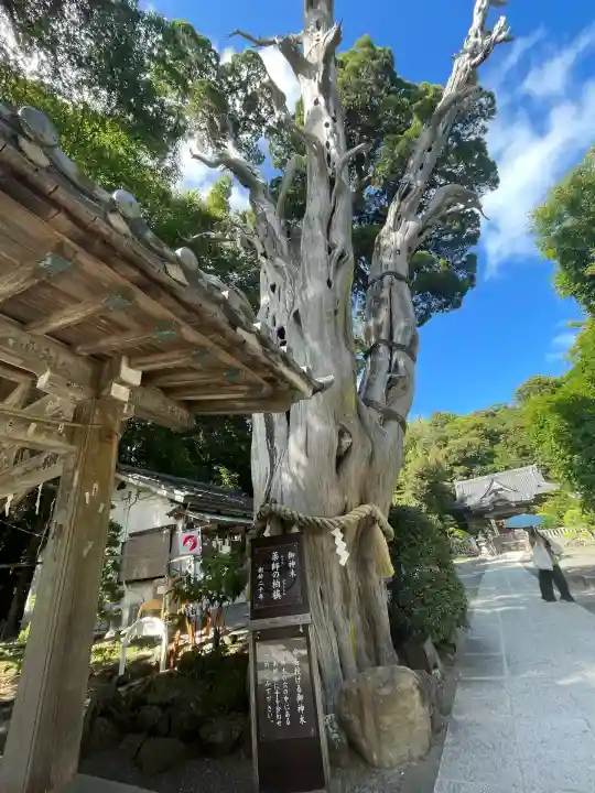 伊古奈比咩命神社(静岡県)