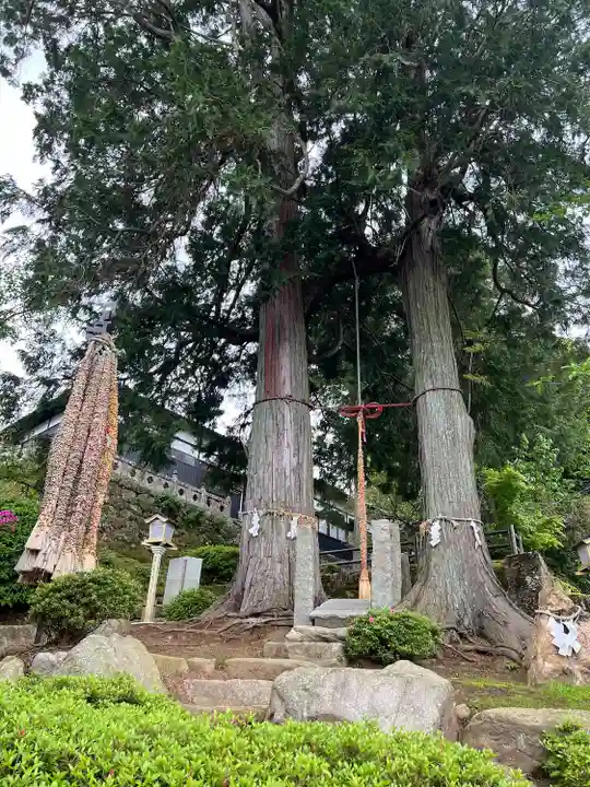 武雄神社(佐賀県)