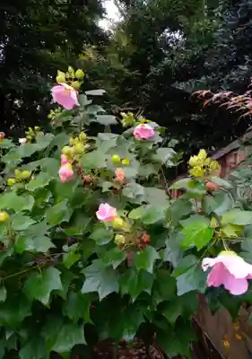 田端八幡神社(東京都)