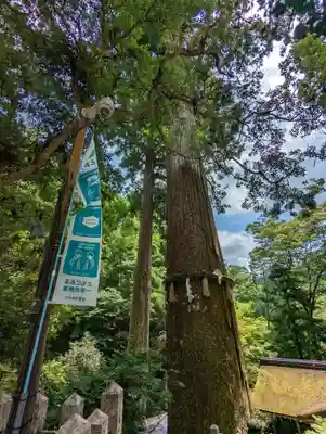 由岐神社(京都府)