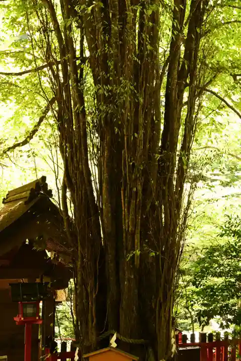 貴船神社(京都府)
