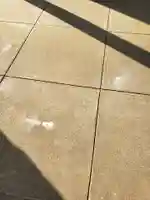 矢切神社の授与品その他