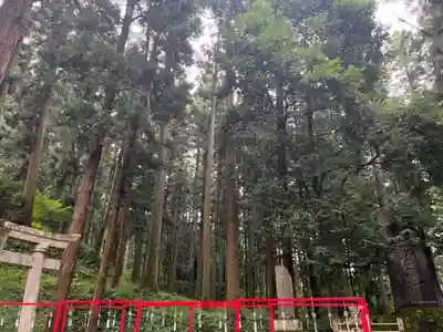 大宮温泉神社(栃木県)
