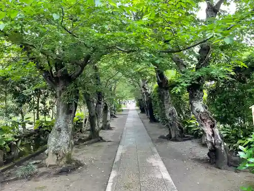 極楽寺（霊鷲山感應院極楽律寺）のその他建物