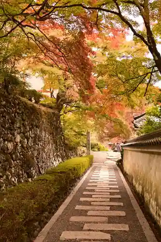 善峯寺(京都府)