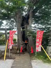 三ツ木神社(埼玉県)